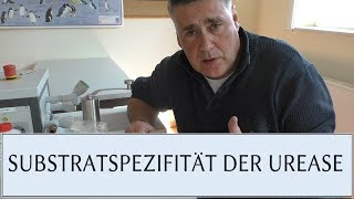 UREASE SUBSTRATSPEZIFITÄT [upl. by Tra]