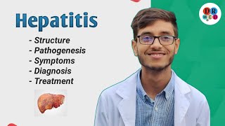 Hepatitis A B C D E Virus  Diagnosis  Virology  Microbiology bangla lecture [upl. by Rudiger]