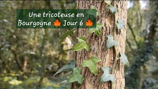 Une tricoteuse en Bourgogne 🍁 jour 6🍁 [upl. by Led]