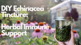 DIY Echinacea Leaf Tincture  Herbal Immune Support [upl. by Rosol]