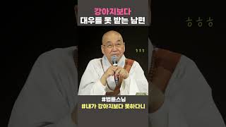 강아지보다 대우를 못 받는 남편 법륜스님 법륜스님쇼츠 법륜쇼츠 즉문즉설 정토불교대학 내가강아지보다못하다니 [upl. by Einegue]