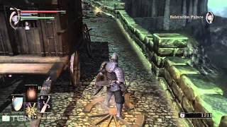 Demons Souls 8 Boletarian Palace Patrolling Red Dragon [upl. by Elnore568]