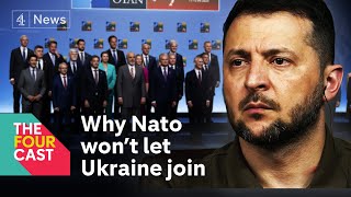 Why Ukraine isnt joining Nato  expert explains [upl. by Bill]