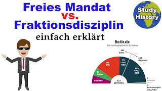 Fraktionsdisziplin und Freies Mandat einfach erklärt [upl. by Tak363]