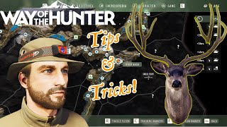 The only Way of the Hunter guide you will need [upl. by Nwahsauq]