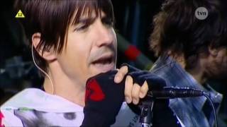 Red Hot Chili Peppers  Cant Stop  Live in Poland HD [upl. by Auehsoj]