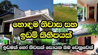 house sale  land sale in sri lanka  niwasa  agriculture land for sale in sri lanka  Ape Thana [upl. by Ayle]