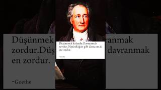 Goethe Düşünmek ve davranmakfelsefe [upl. by Worra]