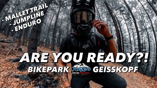 Seit ihr Ready für die Bikepark Saison Es geht wieder los  Bikepark Geisskopf  Sending Kenny [upl. by Coraline]