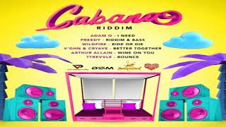 I Need  Adam O Cabana Riddim 2021 [upl. by Fawne]