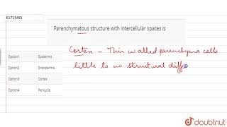 Parenchymatous structure with intercellular spaces is [upl. by Eveneg266]