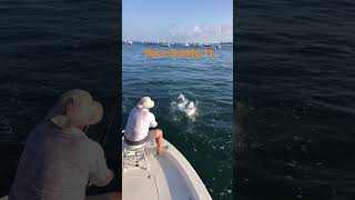 Another epic day tarpon fishing in Boca Grande Florida [upl. by Aisital618]