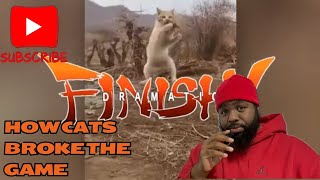 STILL DONT TRUST CATS LOL quotHow Cats Broke The Gamequot by TierZoo Reaction [upl. by Ynohta258]