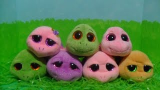 Ty Beanie Boos TURTLES [upl. by Ingaberg56]