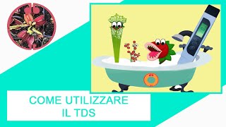 TUTORIAL Come utilizzare il TDS Acqua [upl. by Prissy]