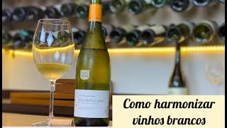 COMO HARMONIZAR VINHOS BRANCOS [upl. by Hayward]