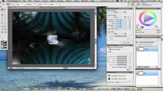 Corel Painter X tutorial AutoPainting [upl. by Somerset70]