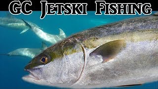 Catching Kingfish 3 techniques Jetski Fishing [upl. by Eillo]