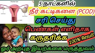 pcod problem solution in tamilpcod home remedy in tamil [upl. by Annaoj475]