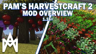 Minecraft  Pams HarvestCraft 2 Mod Overview 116 [upl. by Danyelle]