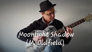 quotMoonlight Shadowquot M Oldfield  Slide guitar version [upl. by Mieka]