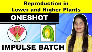 Reproduction in Lower and Higher Plants  Impulse Batch  Biology Maharashtra State  MHTCET 2021 [upl. by Ayidan]