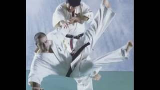 Enshin Karate Technique Sabaki Method Sensei Dino Kardas [upl. by Atsok761]