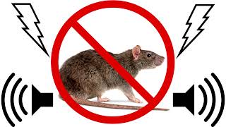 Rats amp Mice Repellent  High Frequency Sound [upl. by Honeyman]