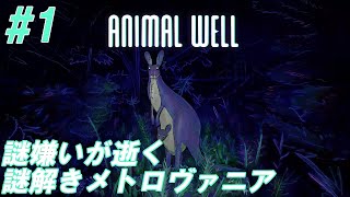 1【謎嫌いが逝く謎解きメトロヴァニア】Nightの「ANIMAL WELL アニマルウェル」【生放送】 [upl. by Hamford]