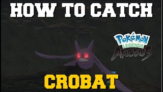 HOW TO CATCH CROBAT IN POKEMON LEGENDS ARCEUS ALPHA CROBAT LOCATION [upl. by Ynner]