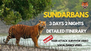 Sundarbans Tour  Sundarbans National Park Detailed Itinerary  Tigers of Sundarbans [upl. by Hally]