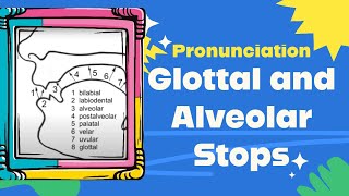 Glottal and Alveolar Stops Pronunciation [upl. by Nette]