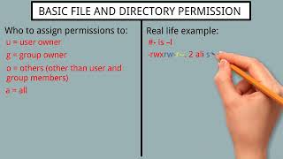 18 Understanding the basic file and directory permissions [upl. by Ribble]