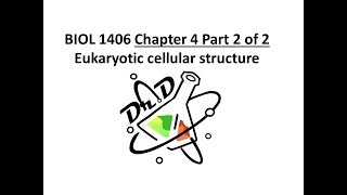 Chapter 4 part 2 of 2 Cell Structure [upl. by Jarred341]