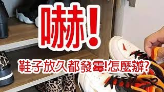 徹底解決衣服、鞋子發霉塵螨問題  quot除濕防潮quot衣櫃、鞋櫃、系統櫃  霉不在家 防潮健康宅 wwwmouldoutcom [upl. by Acissej86]