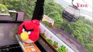 The Worlds First Angry Birds Cable Car Ride at Mount Faber [upl. by Sualkin]