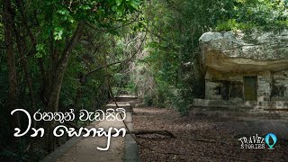 රහතුන් වැඩසිටි වන සෙනසුන  Most peaceful place in Sri Lanka [upl. by Warring]