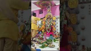 MANSA MAA PUJA 🕉 SALADAHARI 🕉 17102024 🕉 [upl. by Einnoj]