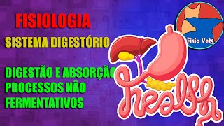 Sistema digestórioDigestão e absorção  processos não fermentativos Fisiologia veterinária Aula 4 [upl. by Nathalie]