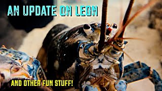 An Update On Leon [upl. by Jansson]