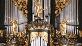 Sietze de Vries  Stille Zaterdag Orgeltocht Zutphen Baderorgel Bach O Mensch bewein [upl. by Berstine453]