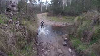 Eaton Track Crossing the Aberfeldy River and The Comet Spur Track  GoPro Session footage [upl. by Denby]