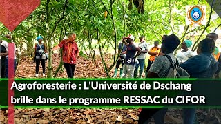 Agroforesterie  Le CIFOR finance le programme RESSAC à lUniversité de Dschang [upl. by Eivlys757]