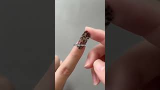 How to apply viral nail gel sticker 😍💅meesho meeshohaul nails trendingnails trendingshorts [upl. by Annirak]