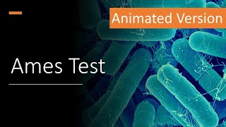 G T8 What is Ames test or Bacterial Reverse Mutation Test General Toxicology Module 8 [upl. by Lotty]