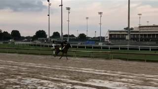 Belmont Stakes 2018 Justify training on May 27 at Churchill Downs [upl. by Dukie]