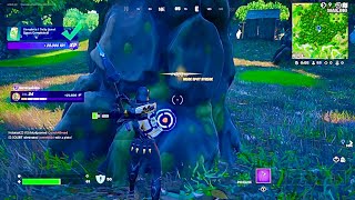 Hit weak points within Wailing Woods Fortnite [upl. by Suraved]