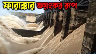 ফারাক্কা বাঁধের গুরুত্ব । ফারাক্কা বাঁধের জলে বাংলাদেশে বন্যা  Farakka Barrage 109 Gate  Farakka [upl. by Hulda]