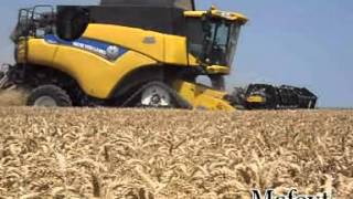 New Holland Cr 8080  Trebbiatura frumento 2012 [upl. by Anyk]