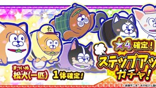 Osomatsusan Hesokuri Wars Event Story  Dogmatsu One Dog [upl. by Mame]